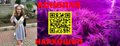 MDMA Новозыбков