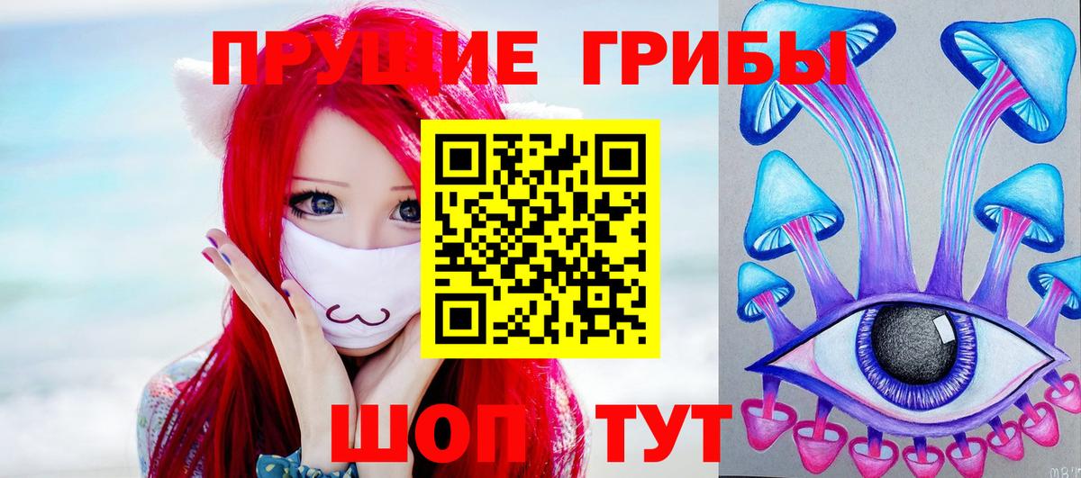Псилоцибиновые грибы прущие грибы Северск