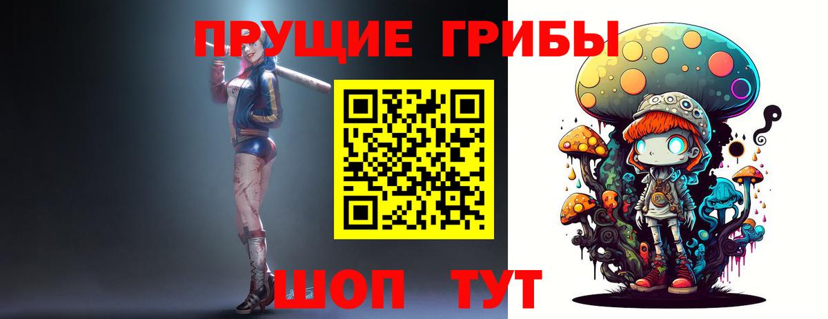 Северск  Галлюциногенные грибы MAGIC MUSHROOMS  Вход с VPN 